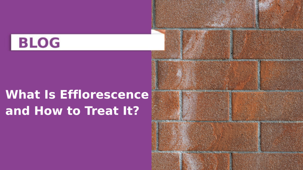 What Is Efflorescence and How to Treat It?