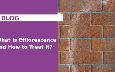 What Is Efflorescence and How to Treat It?